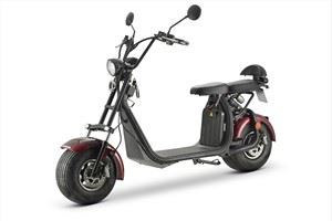 Mobiliti Elektrik DAYI EEC 1000W 60V 20AH